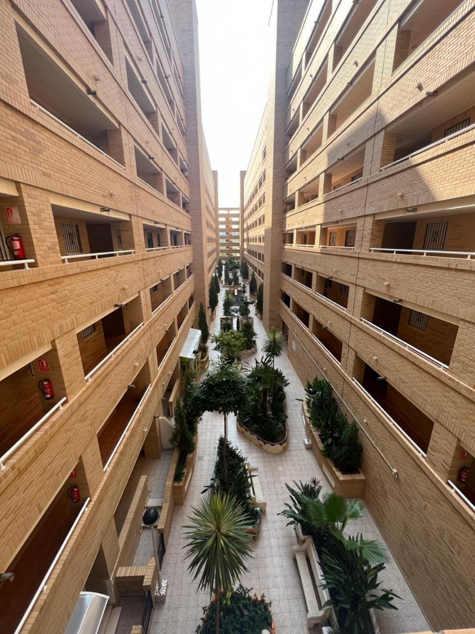 Apartamento Oropesa Marinador Oropesa del Mar Eksteriør billede