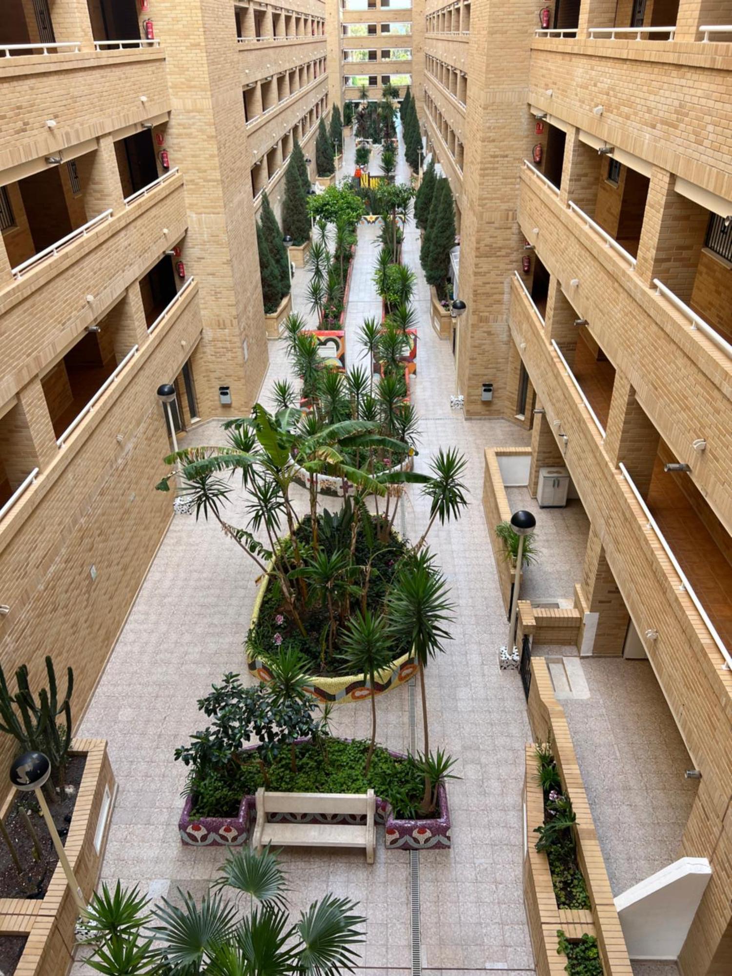 Apartamento Oropesa Marinador Oropesa del Mar Eksteriør billede